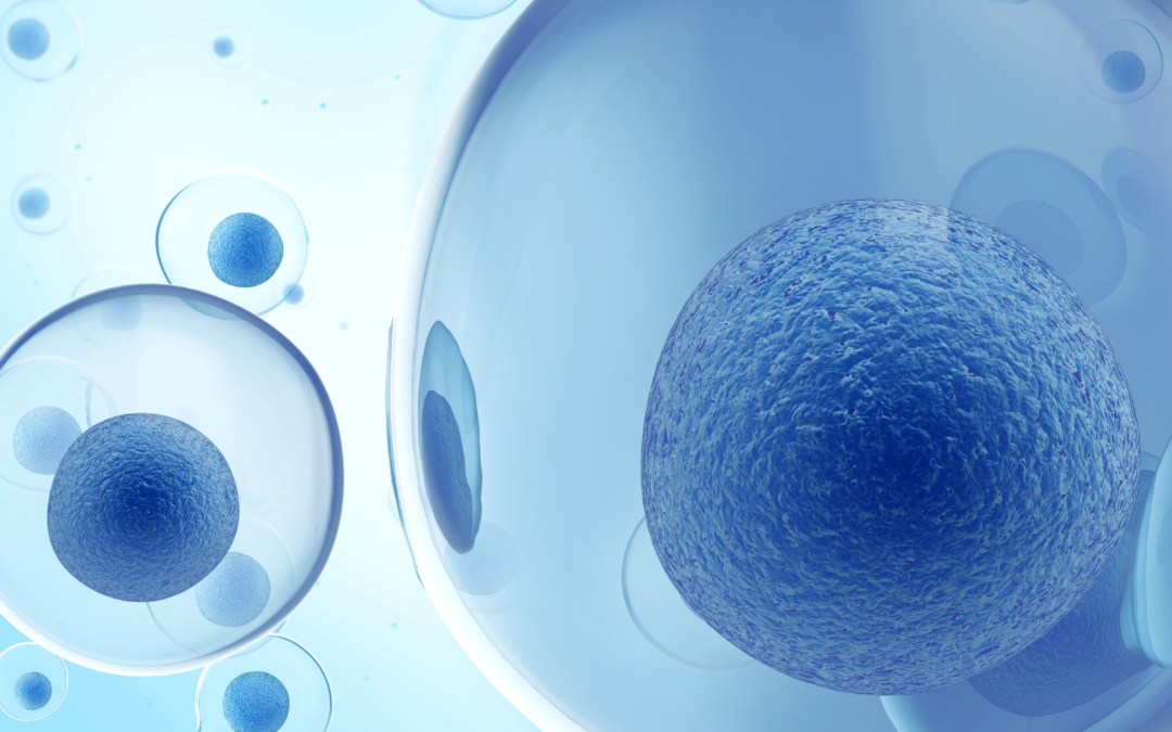 What Are Stem Cells and How Does Stem Cell Therapy Help?